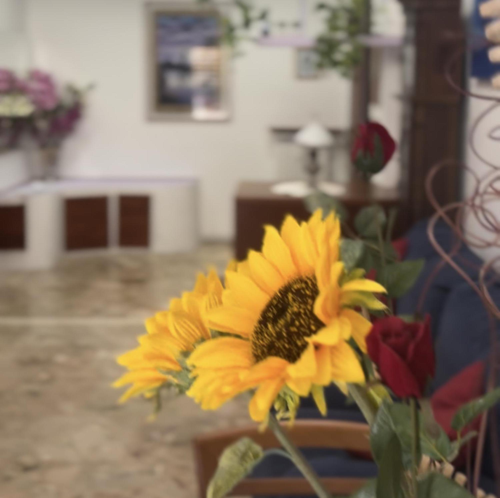 Apartamento Casa Gaja, La Casa Vicino Pamphili Roma