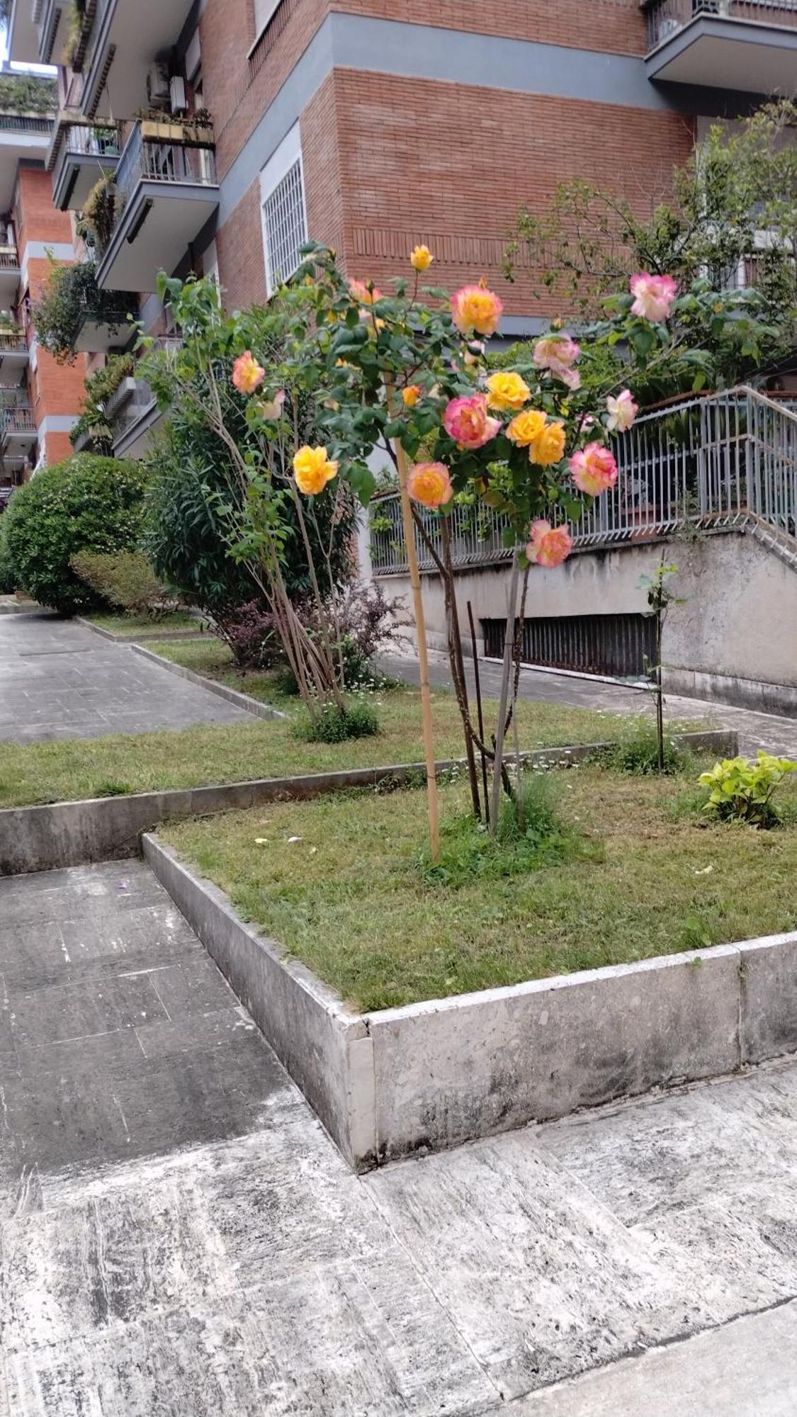 Apartamento Casa Gaja, La Casa Vicino Pamphili *